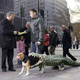 Illustration for article titled Best Dog Suit Ever